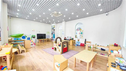 聚焦0-3歲嬰幼兒照護(hù)服務(wù)，共筑科學(xué)育兒新生態(tài)——上海研討會(huì)圓滿召開