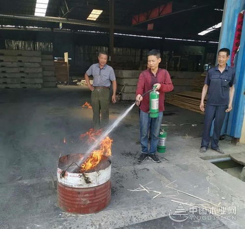 桑墟鎮開展木材加工企業消防安全演練日活動，筑牢行業安全防線